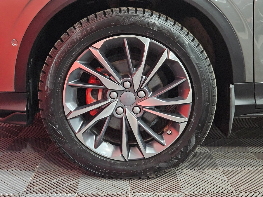Belgee X50, I 2024